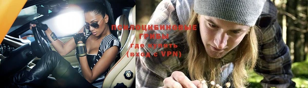 шишки Новочеркасск