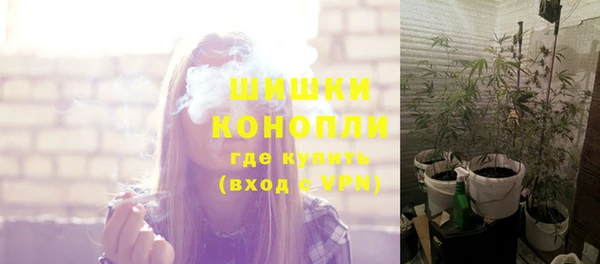 шишки Новочеркасск